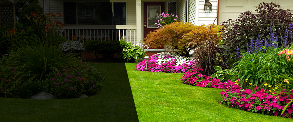 Belfast Landscapers