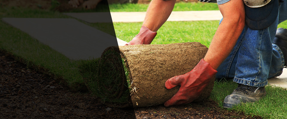 Belfast Landscapers